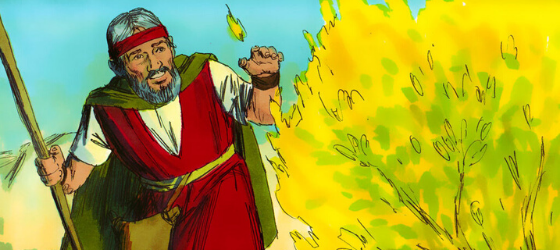 Series 5: Moses